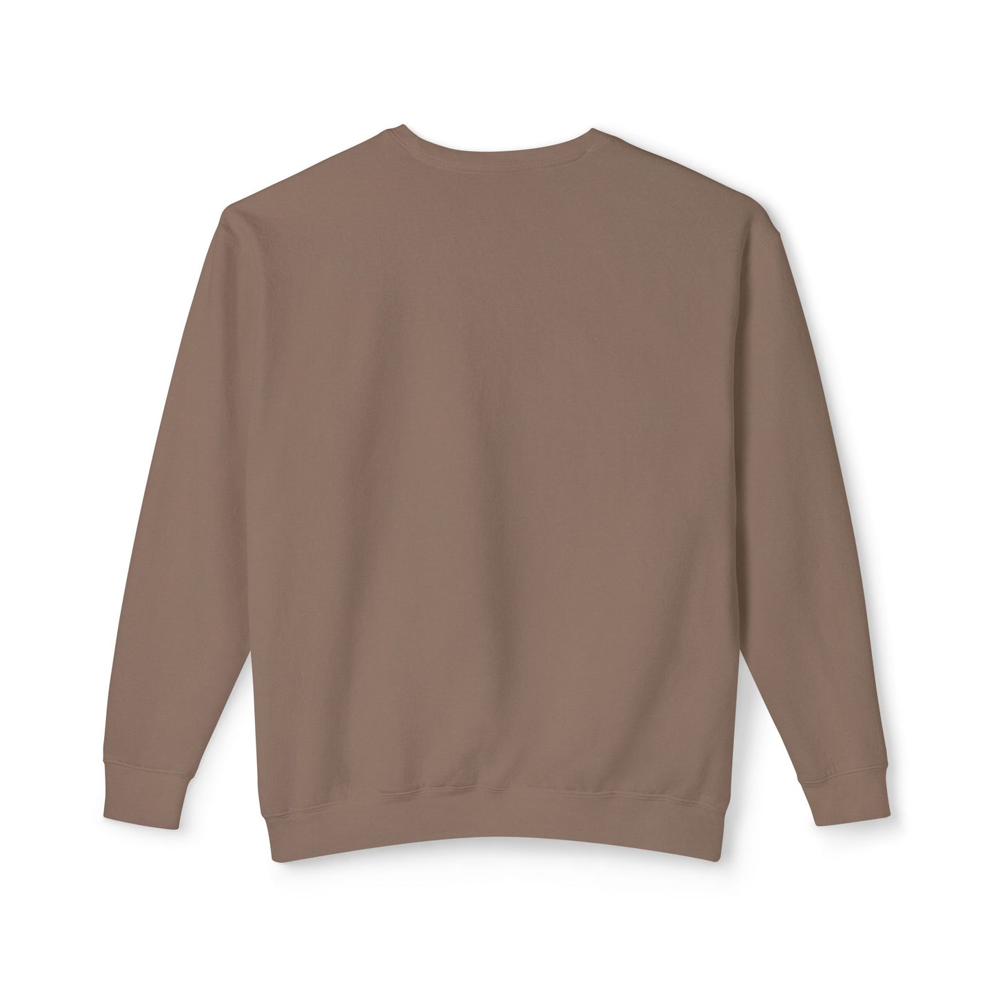 FIR-GIVE and FIR-GET Unisex Lightweight Crewneck Sweatshirt | Nine Scoops Wellness Collection