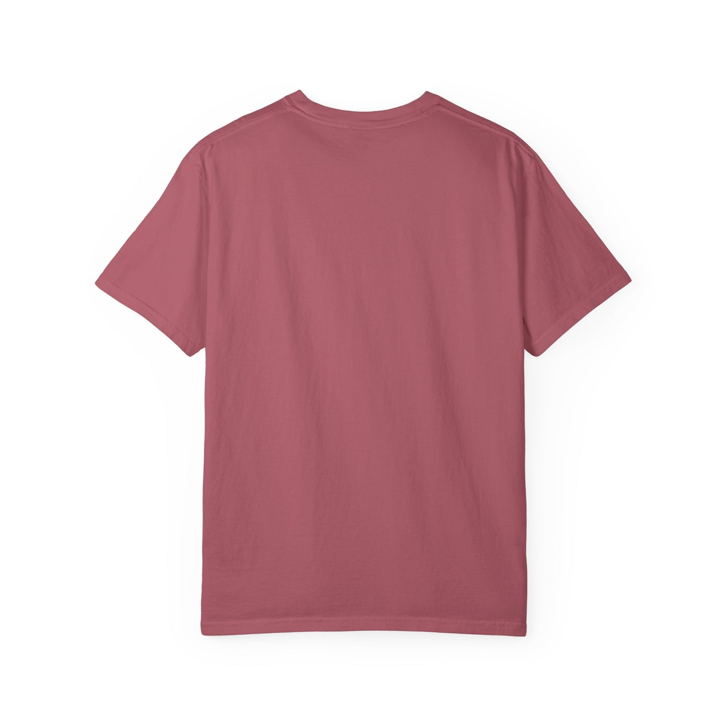 Save the Vaquita Unisex Ocean Conservation T-Shirt – Garment-Dyed Tee