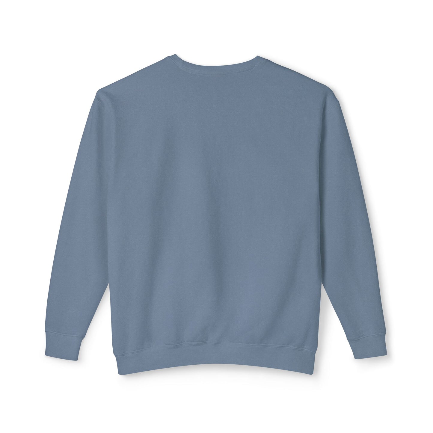 FIR-GIVE and FIR-GET Unisex Lightweight Crewneck Sweatshirt | Nine Scoops Wellness Collection