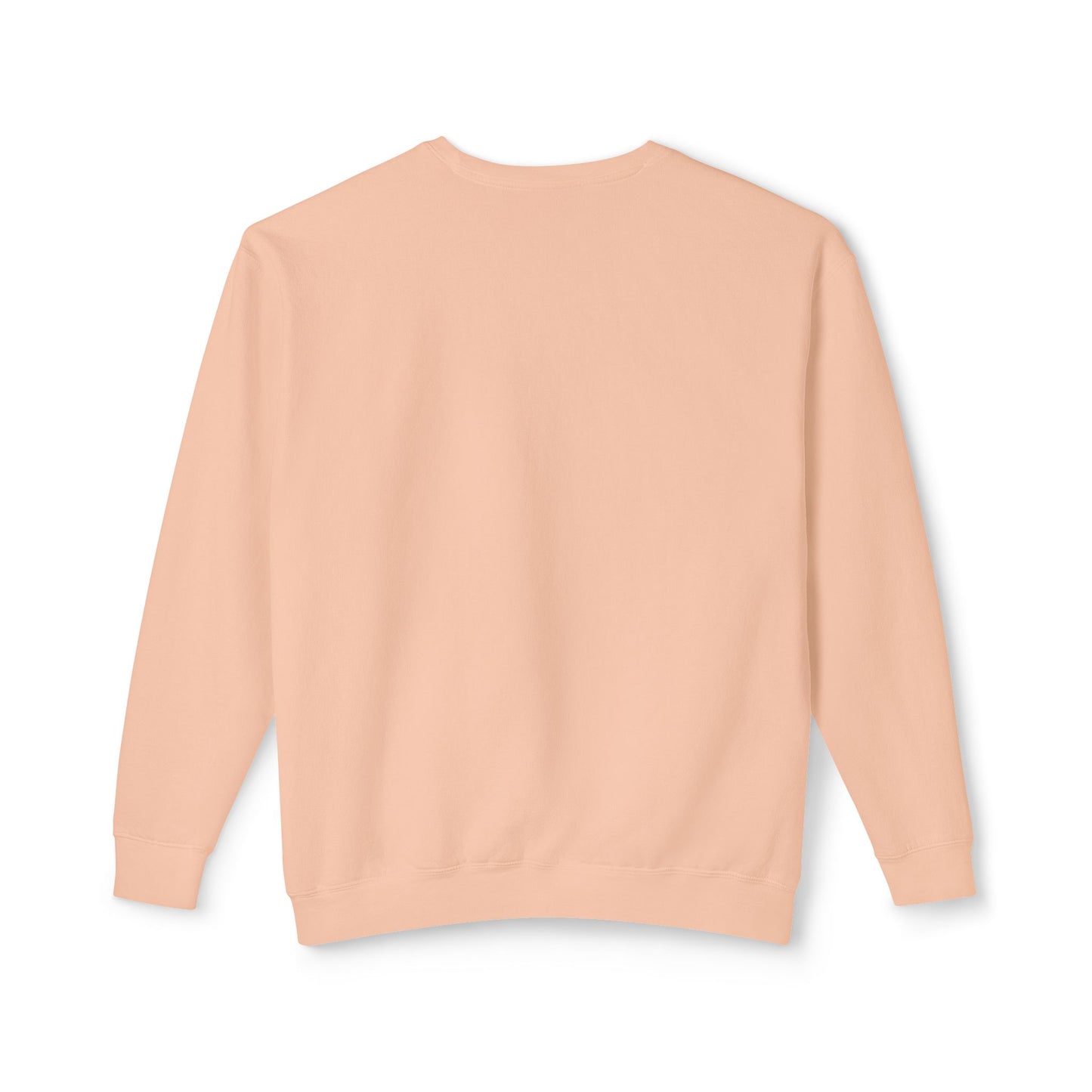 FIR-GIVE and FIR-GET Unisex Lightweight Crewneck Sweatshirt | Nine Scoops Wellness Collection