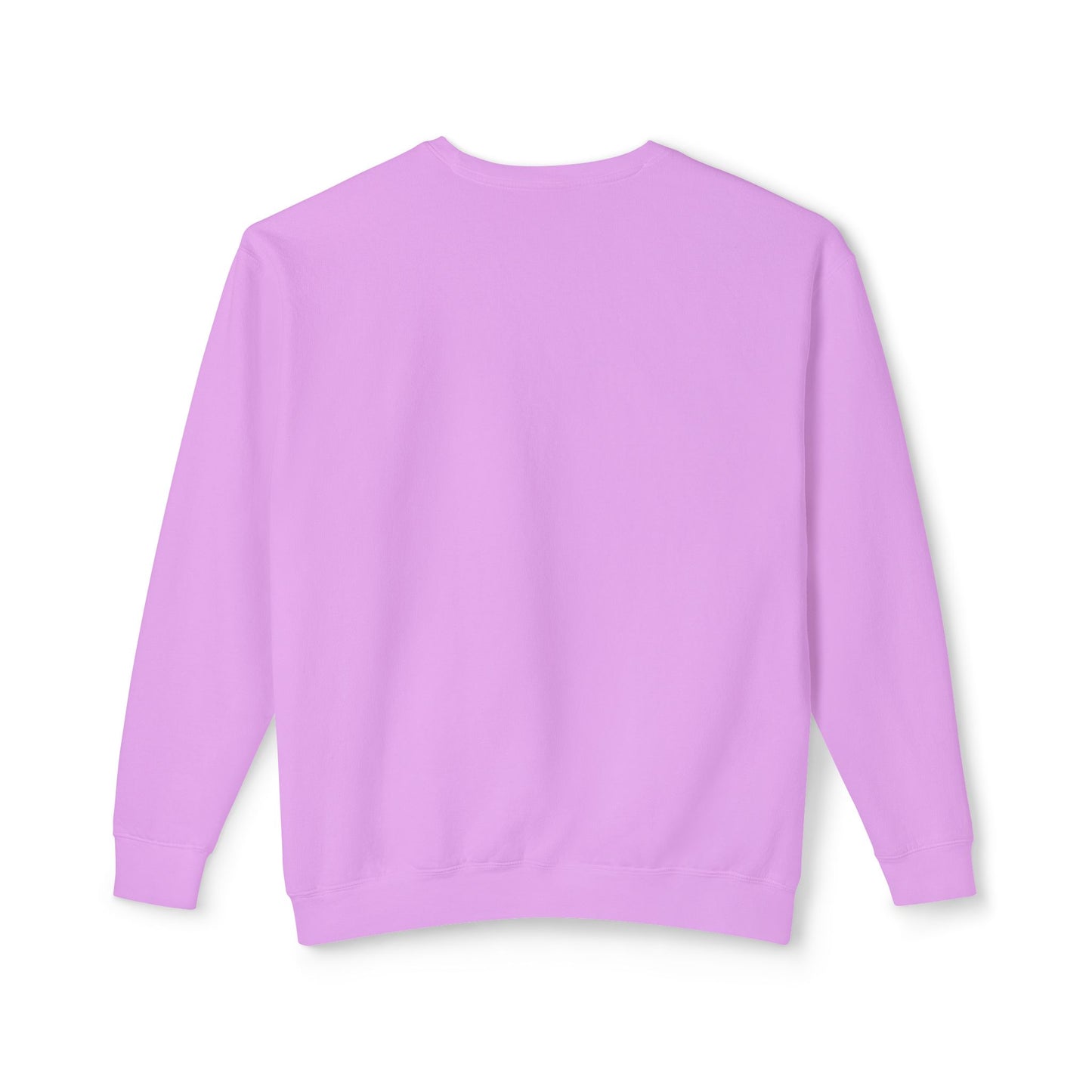 FIR-GIVE and FIR-GET Unisex Lightweight Crewneck Sweatshirt | Nine Scoops Wellness Collection