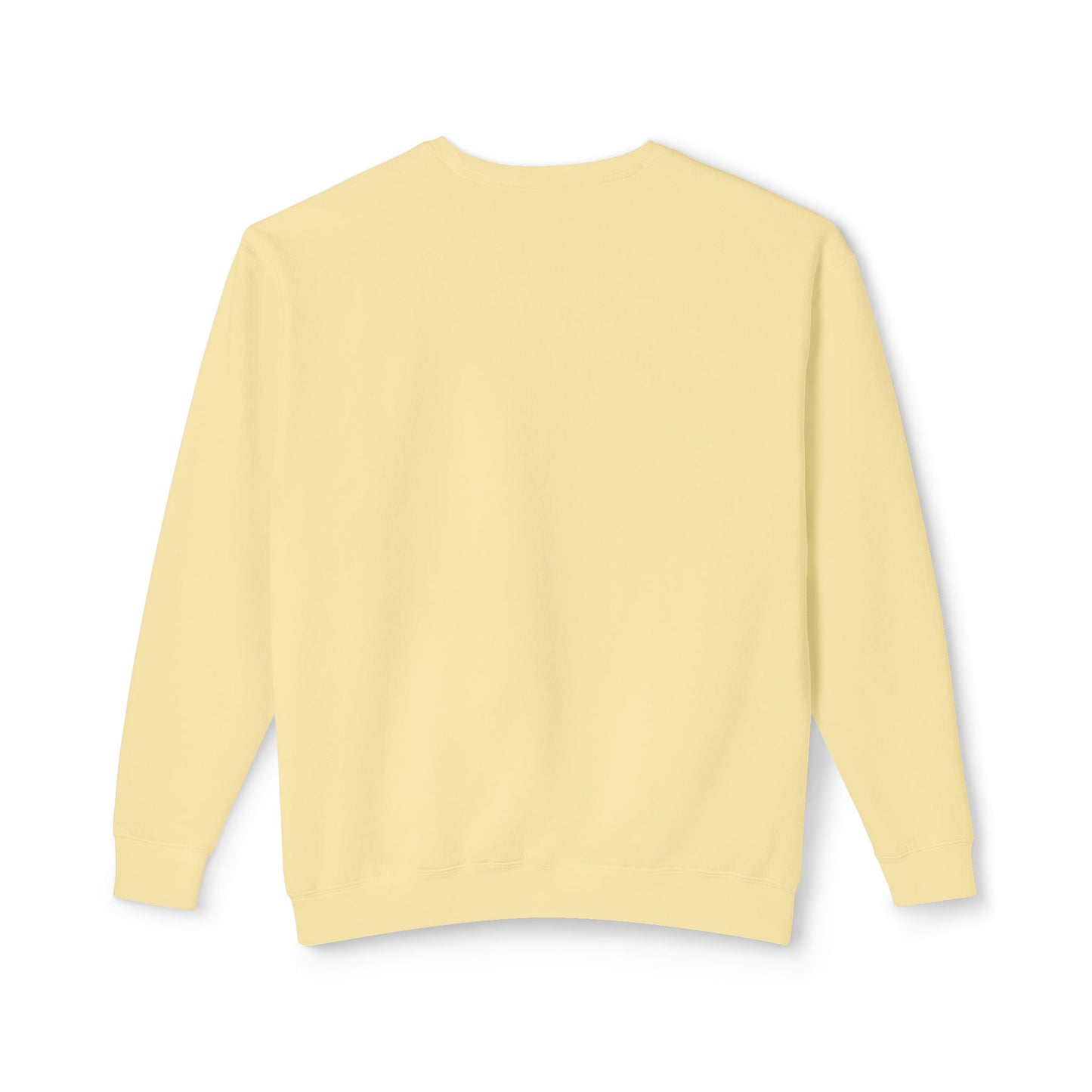 FIR-GIVE and FIR-GET Unisex Lightweight Crewneck Sweatshirt | Nine Scoops Wellness Collection
