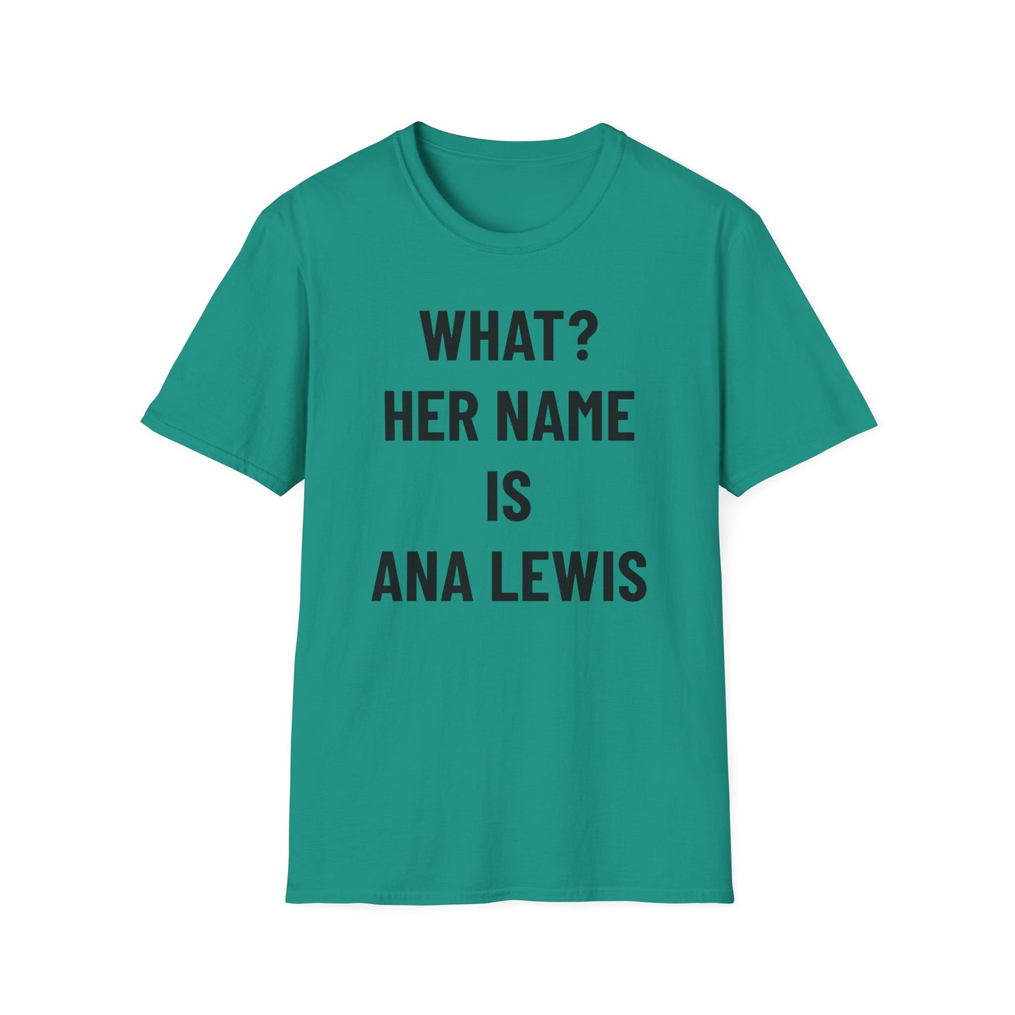 ANA L. – Clean Joke, Dirty Minds T-Shirt – Ana Lewis