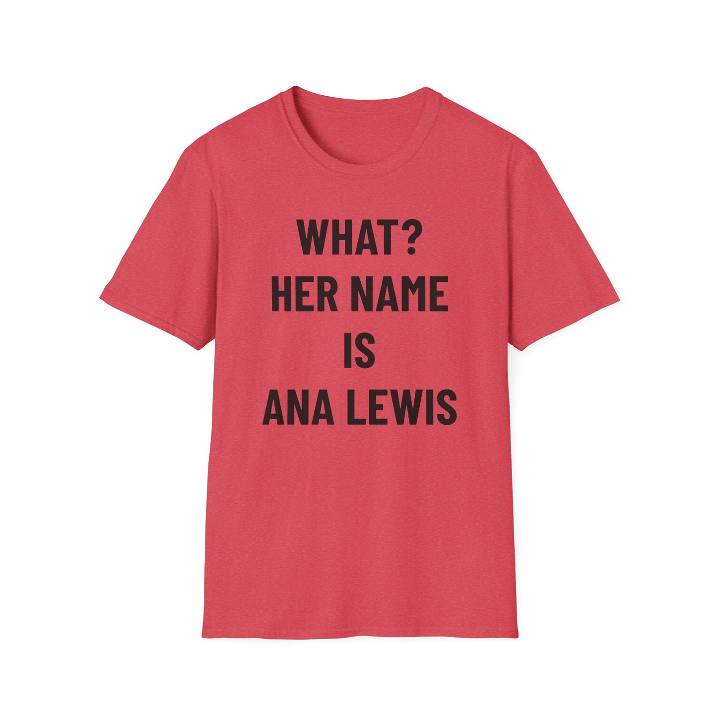 ANA L. – Clean Joke, Dirty Minds T-Shirt – Ana Lewis