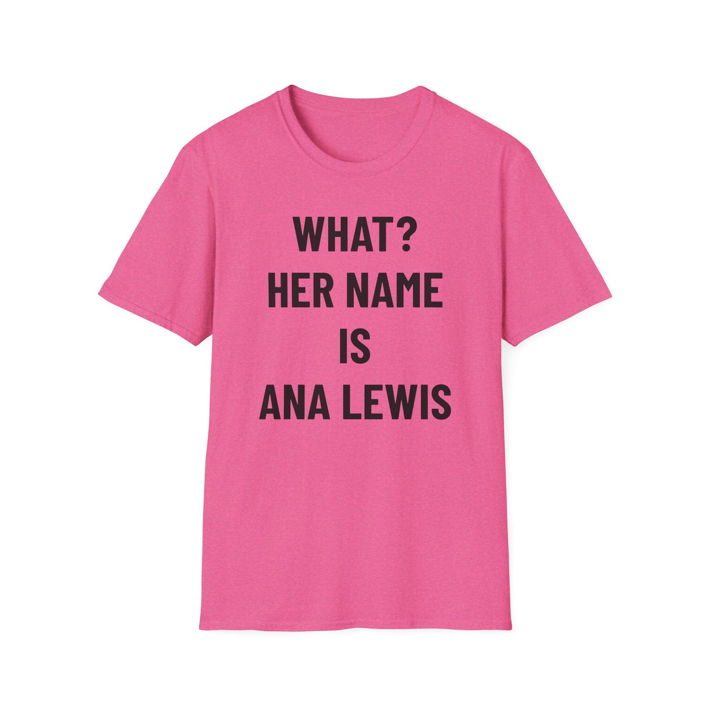 ANA L. – Clean Joke, Dirty Minds T-Shirt – Ana Lewis