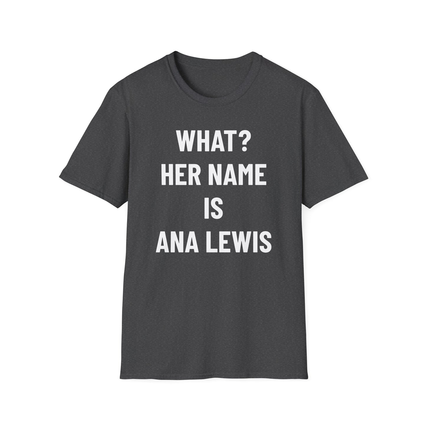 ANA L. – Clean Joke, Dirty Minds T-Shirt – Ana Lewis